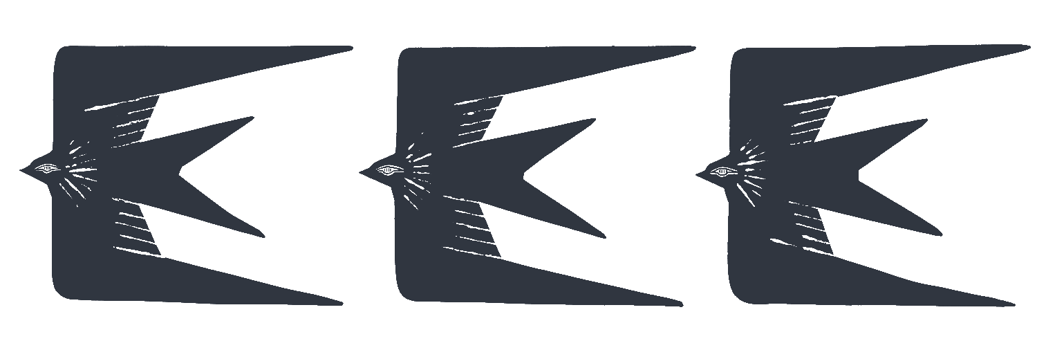 空を飛ぶ鳥のイラスト